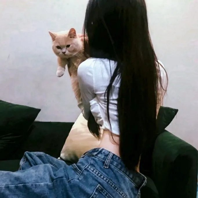 不可遗忘第四季